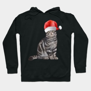 Cute And Lovely Animals With Christmas Hoodie